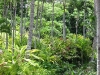 Landscapes 20